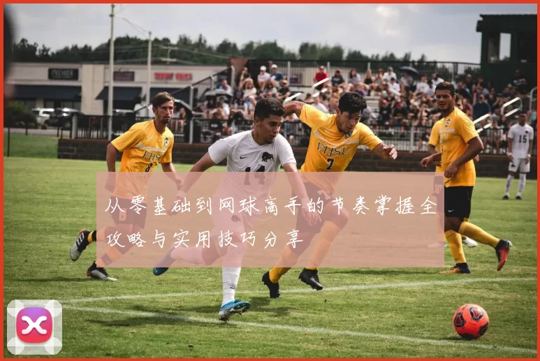 从零基础到网球高手的节奏掌握全攻略与实用技巧分享