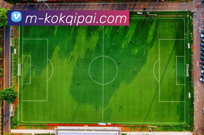 KOK棋牌平台生态图